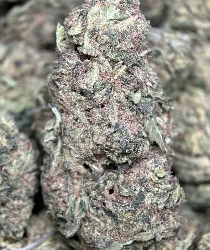 Pink Candy sativa cannabis flower 4