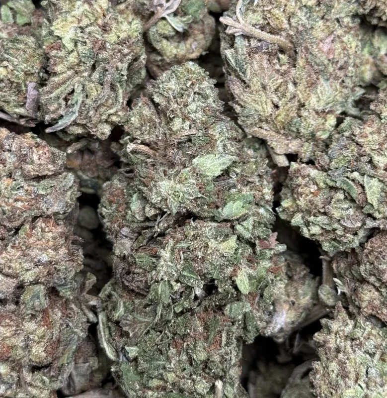 Forest-green Pink Galaxy buds with pink-purple hues and thick trichomes 4