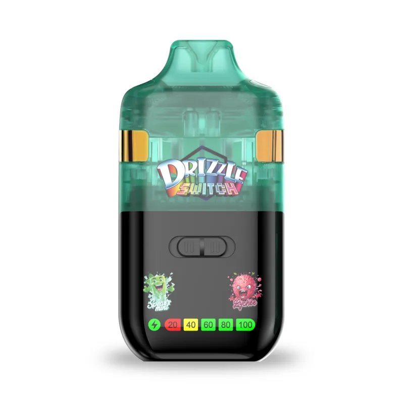 Spearmint and Lychee dual-flavour rechargeable vape 2