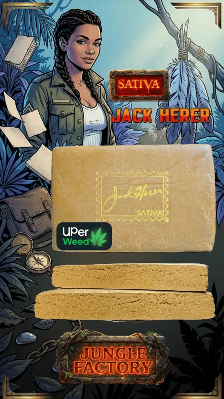 Jack Herer Hash