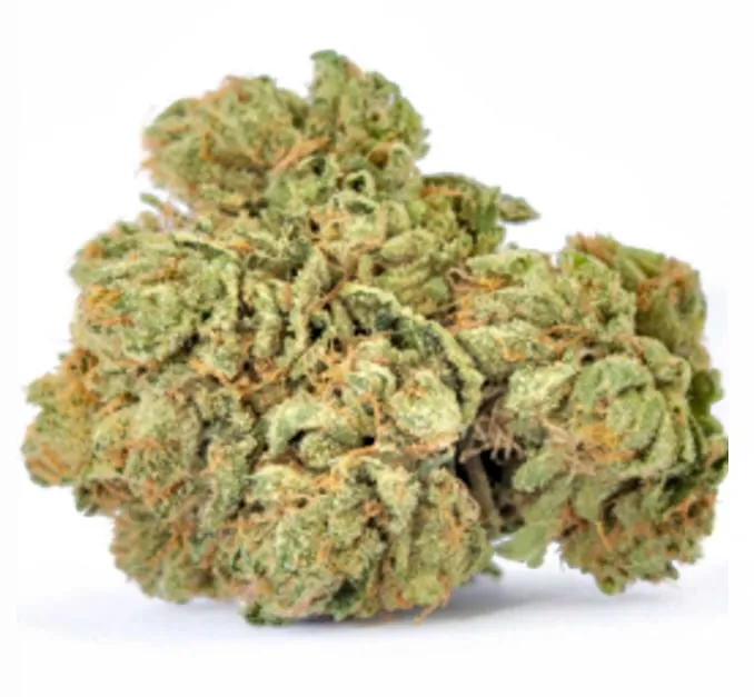Jungle Cake
