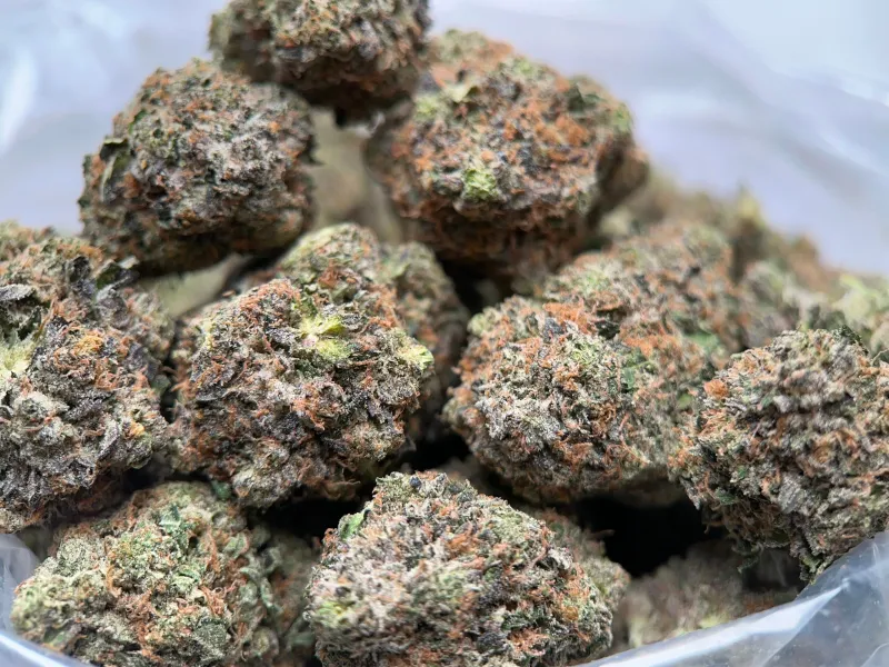 King Louis XIII dense resinous buds with frosty trichome coverage 2