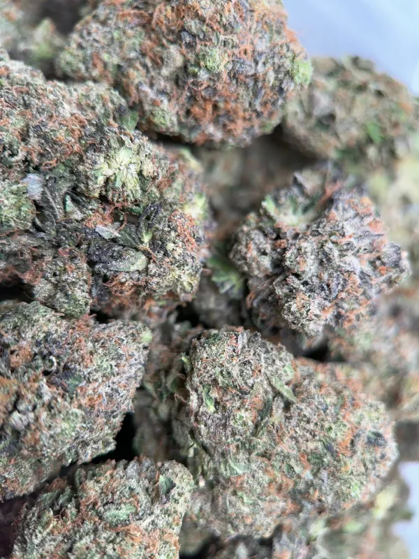 King Louis XIII dense resinous buds with frosty trichome coverage 3