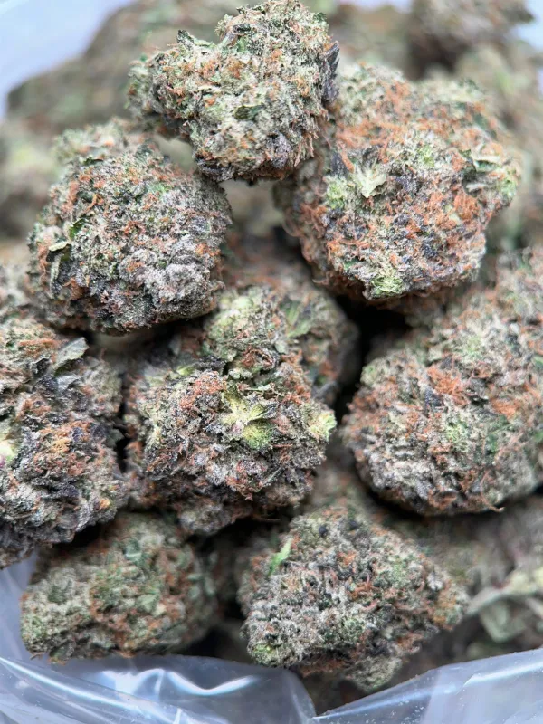 King Louis XIII dense resinous buds with frosty trichome coverage 4