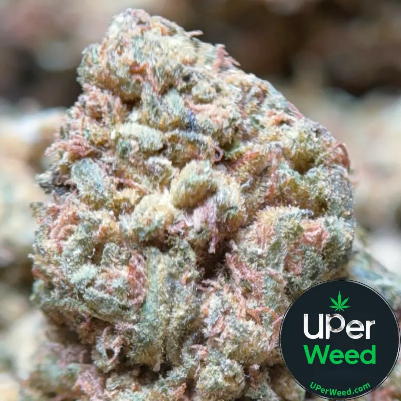 Lemon Skunk Diesel