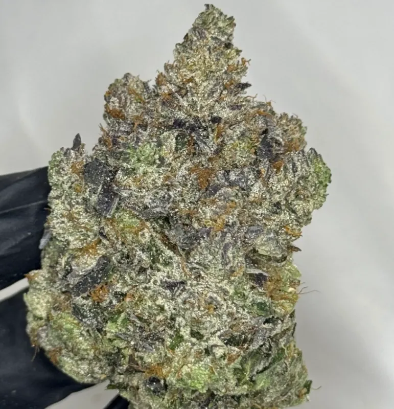 Loud Dream