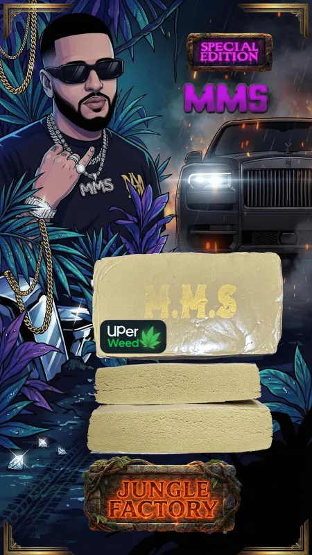 M.M.S Hash