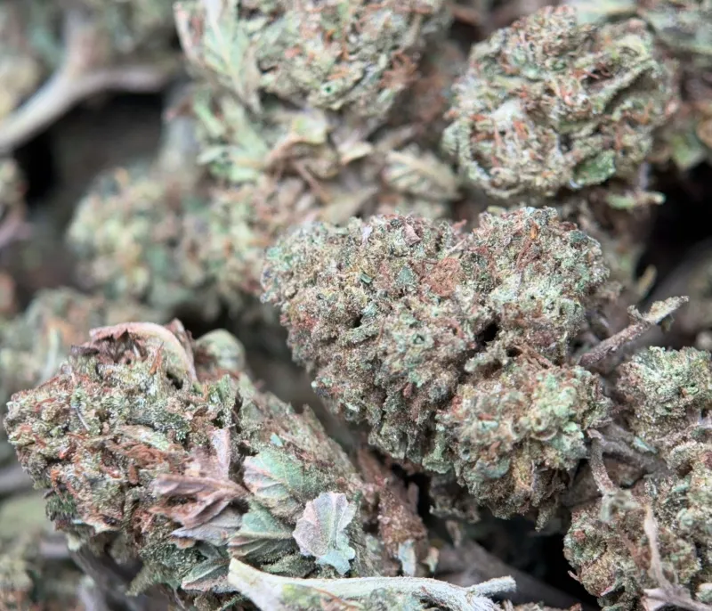 Muffin Indica four-ounce bulk cannabis flower deal 2