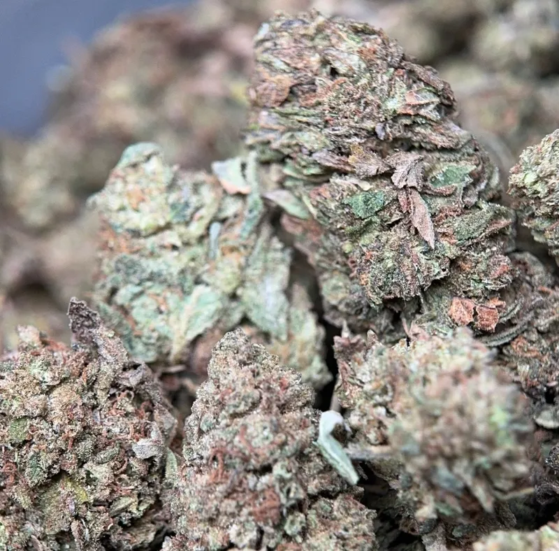 Muffin Indica four-ounce bulk cannabis flower deal 3