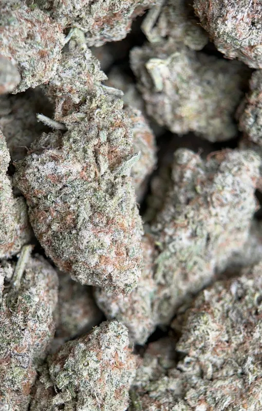 Phoenix Haze sativa cannabis flower 5