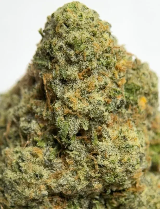 Forest-green Pie Hoe buds with orange pistils and amber trichomes 4