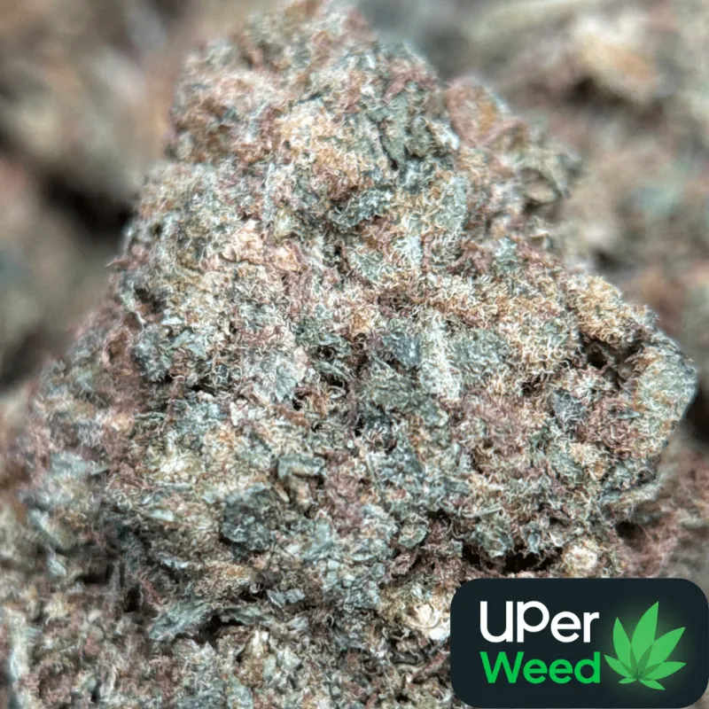Pineapple Haze