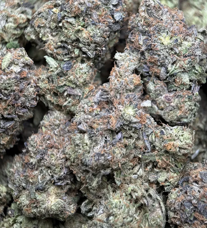 Pink Blood mint-green buds with pink-white trichomes and orange hairs 2