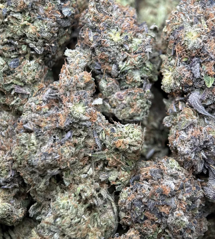 Pink Blood mint-green buds with pink-white trichomes and orange hairs 5