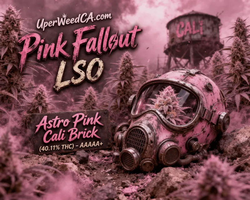 Pink Fallout LSO
