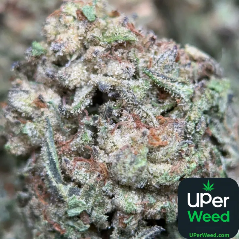 Pink Skywalker
