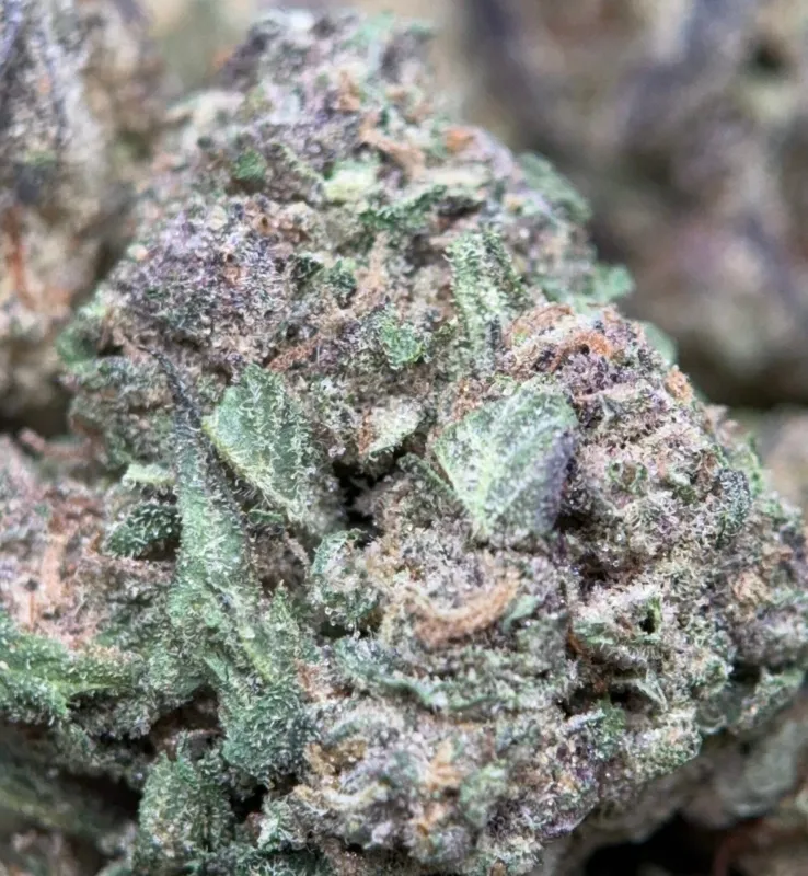 Pink Skywalker indica cannabis flower 3