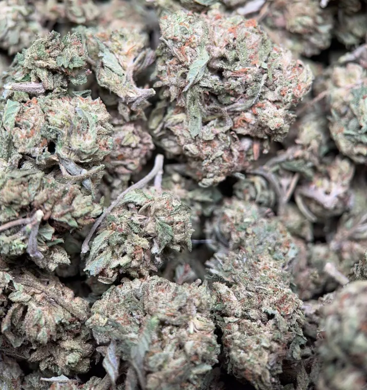 Pink Skywalker indica cannabis flower 4