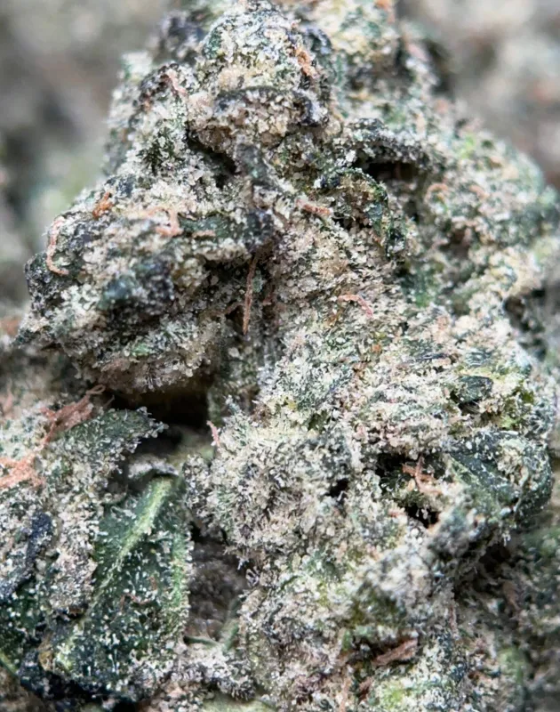 Sticky Pinkman Goo indica cannabis buds 2