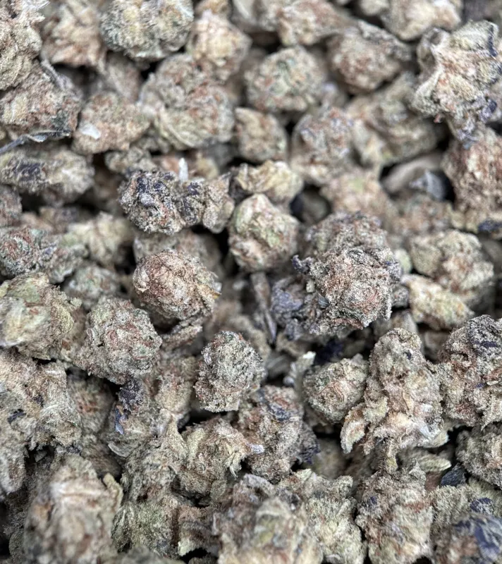 Popcorn Kush small dense buds coated in sticky crystal trichomes 2