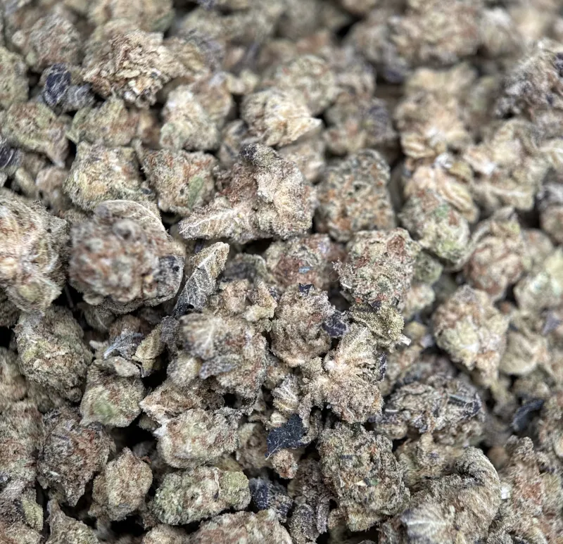 Popcorn Kush small dense buds coated in sticky crystal trichomes 3