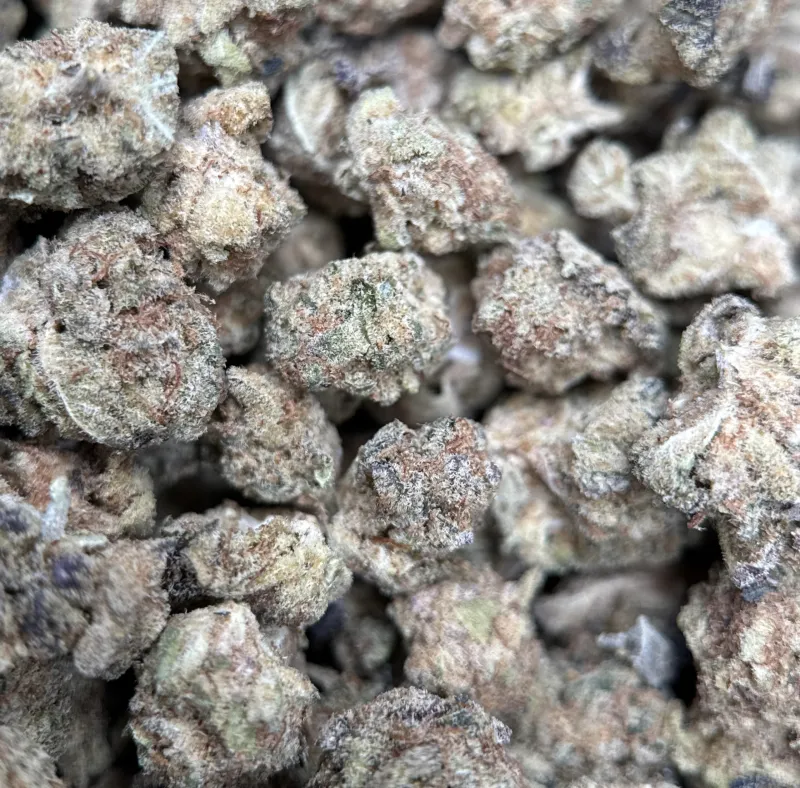 Popcorn Kush small dense buds coated in sticky crystal trichomes 4