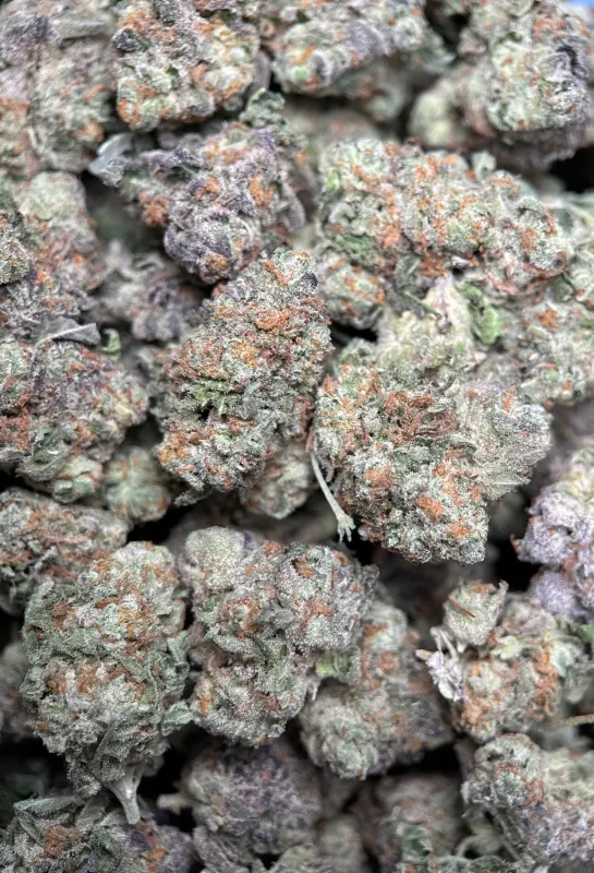 Purple Cookies Bomb hybrid cannabis flower 4