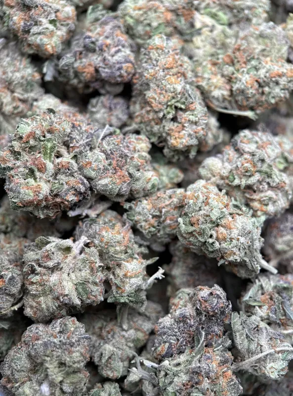 Purple Cookies Bomb hybrid cannabis flower 5