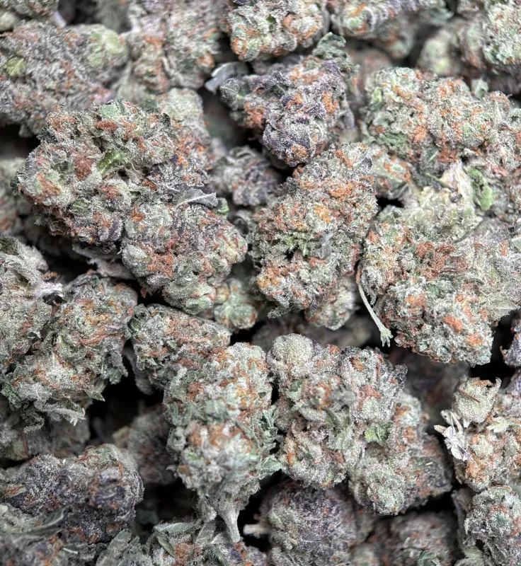 Purple Cookies Bomb hybrid cannabis flower 6