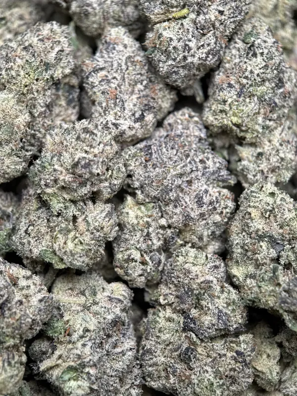 Deep-purple Purple Gas buds with orange pistils and frost 7
