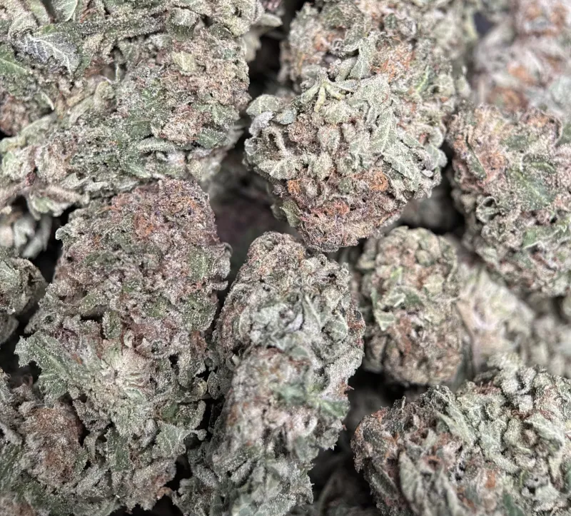 Purple Snake deep green and violet buds with crystalline trichomes 5