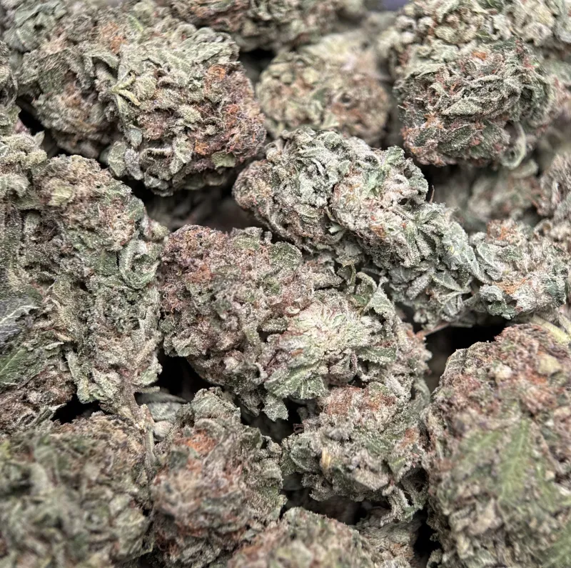 Purple Snake deep green and violet buds with crystalline trichomes 6