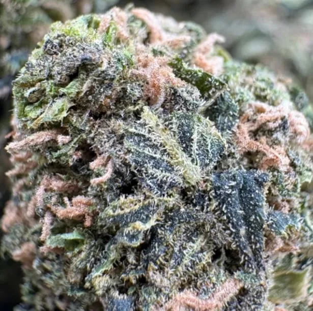 Purple Trainwreck