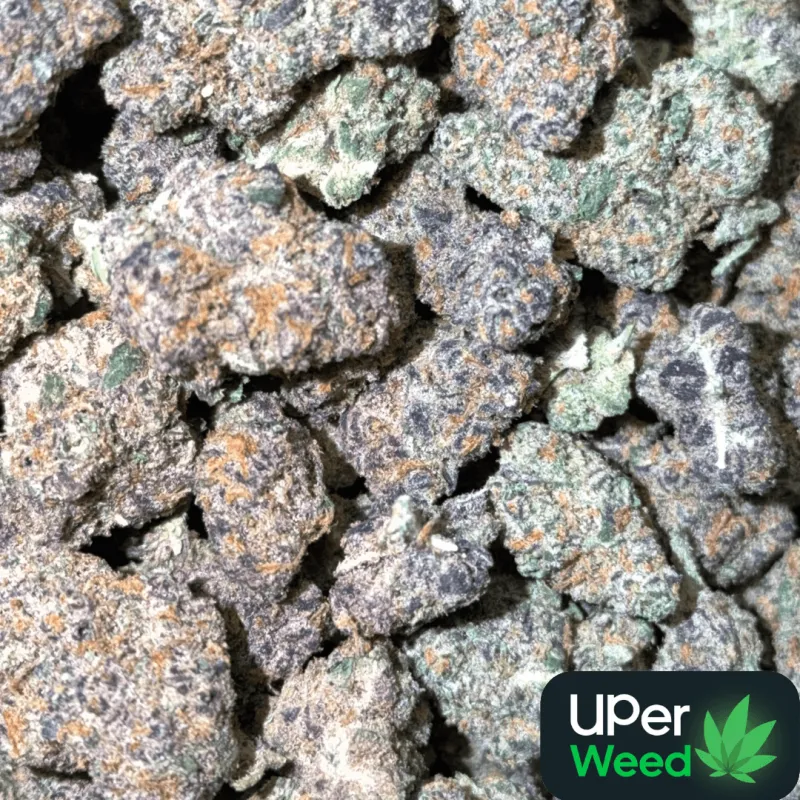 Crimson and purple Red Runtz cannabis buds with frosted trichomes 2