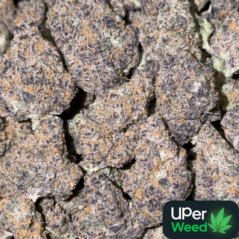 Crimson and purple Red Runtz cannabis buds with frosted trichomes 3