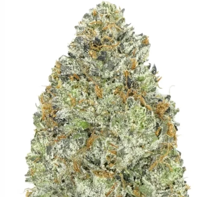 Rock Bubba - BC Bricks