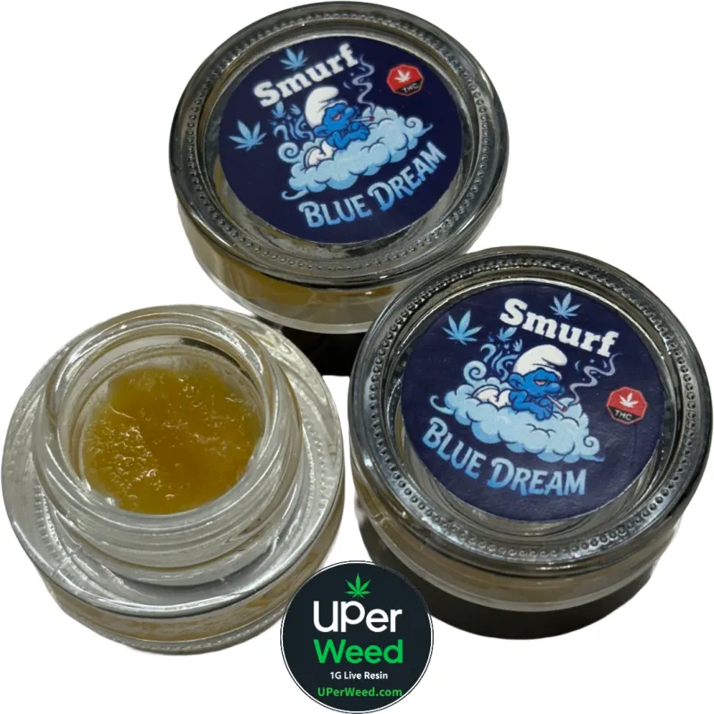 Four small open jars of golden live resin arranged around a Smurf Blue Dream lid for Smurf Blue Dream 3