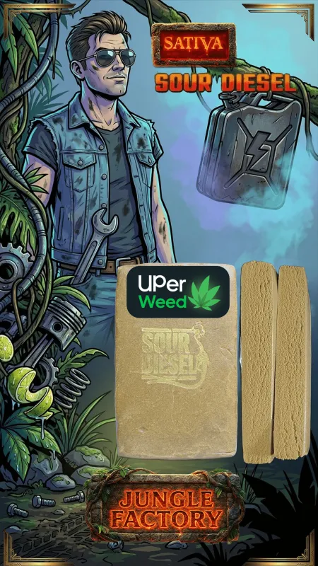 Sour Diesel Hash