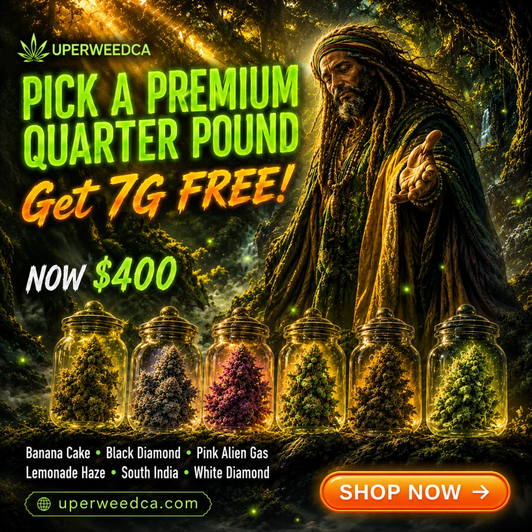 South India landrace indica cannabis flower 2