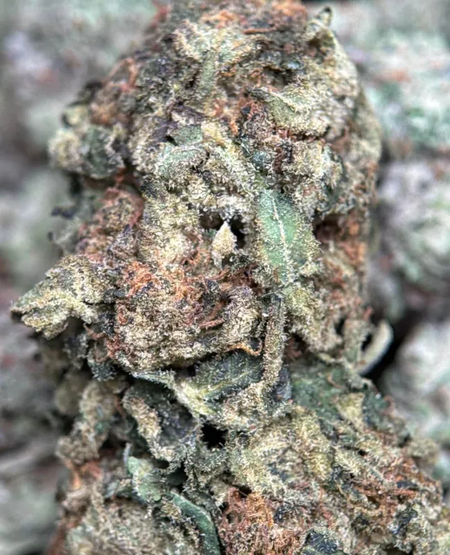 Purple-tinted Super Girl buds with orange pistils and white trichome frost 3