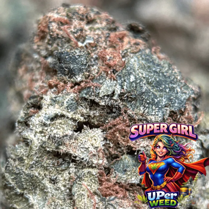 Purple-tinted Super Girl buds with orange pistils and white trichome frost 4