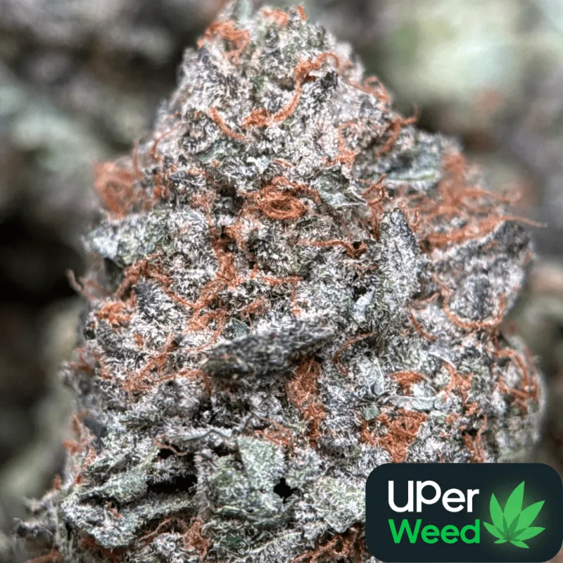 Sweet Gas