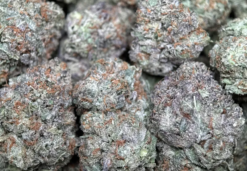 Sweet Gas indica cannabis flower 4