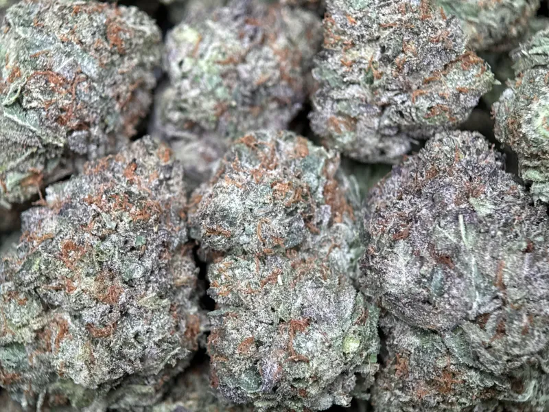 Sweet Gas indica cannabis flower 6