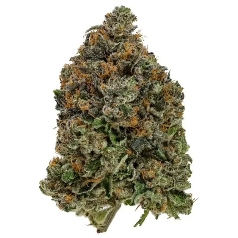 Pink-purple Tom Ford Pink Kush buds with heavy resin frost 2
