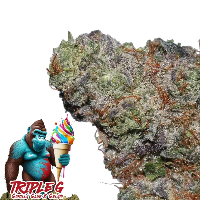 Triple G