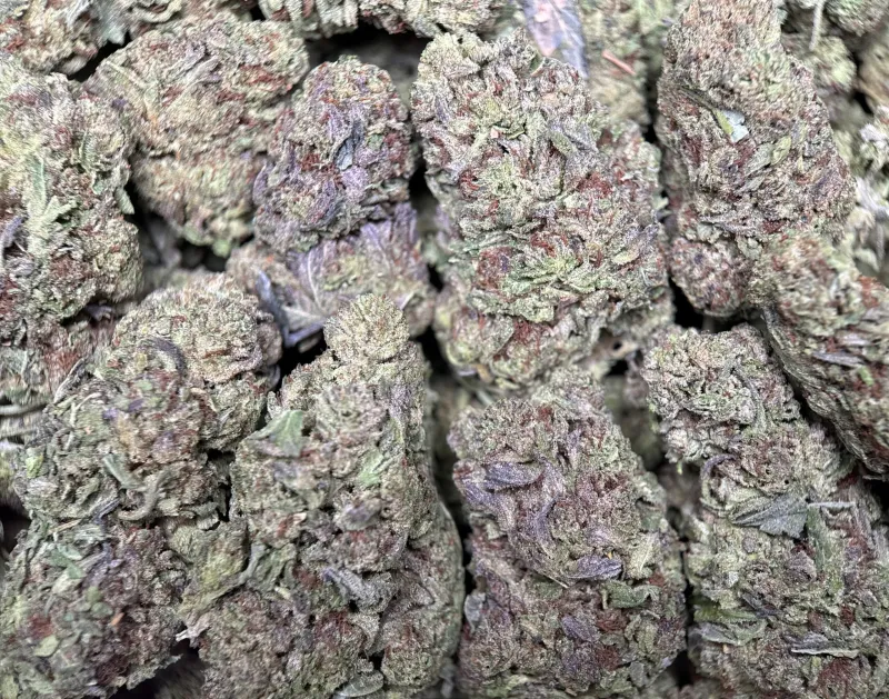 Ultra Pink cannabis buds with pink-tinted trichomes 9