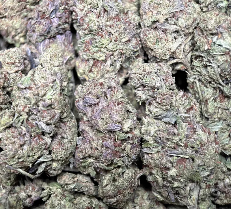 Ultra Pink cannabis buds with pink-tinted trichomes 6