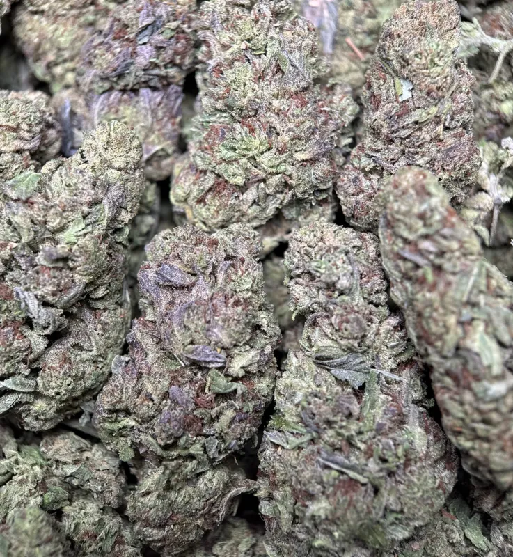 Ultra Pink cannabis buds with pink-tinted trichomes 7