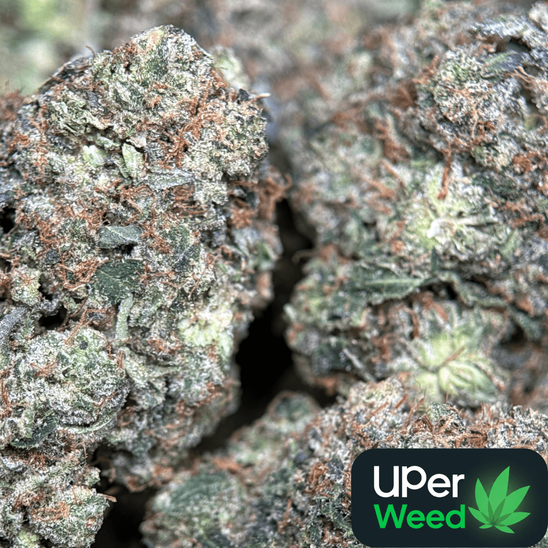 Sparkling pink purple and green Pink Diamond cannabis buds 2